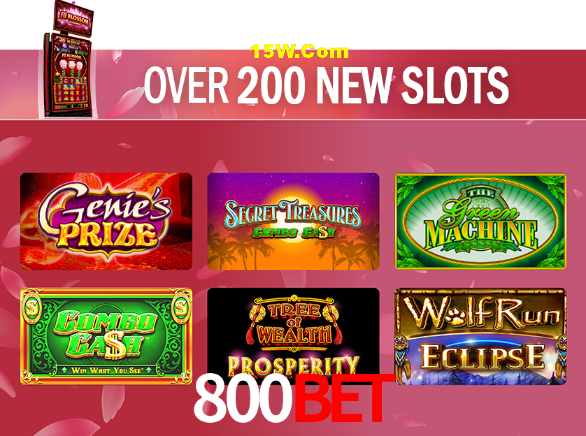 Account Benefits 800Bet