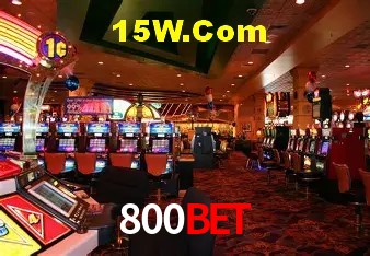 800Bet - User Statistics
