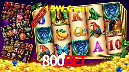 800Bet Rio de Janeiro - Slot Strategy